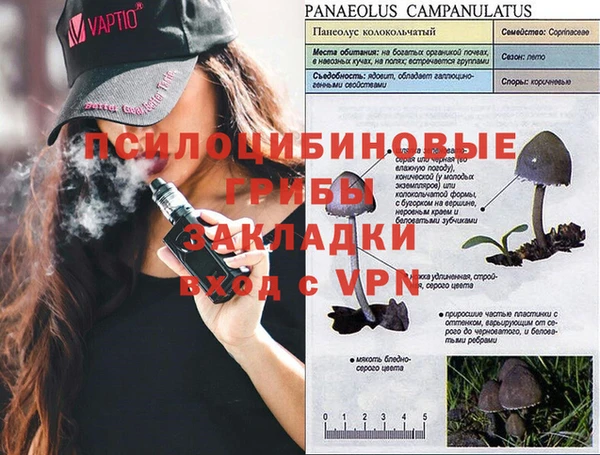 ALPHA PVP Алексин